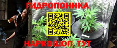 шишки Бузулук