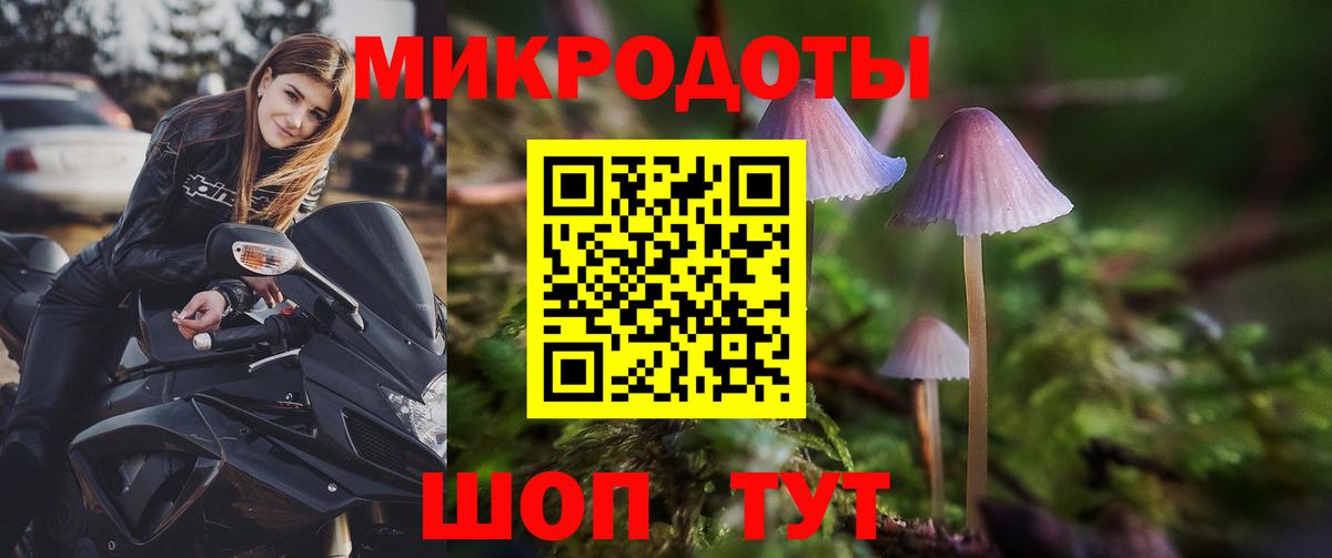Галлюциногенные грибы Psilocybine cubensis  Галлюциногенные грибы мицелий  Ступино  Вход с VPN 